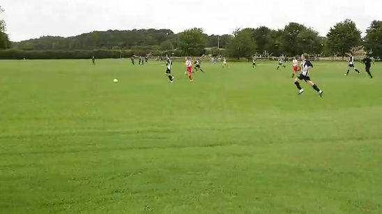 Narramore goal v Verwood